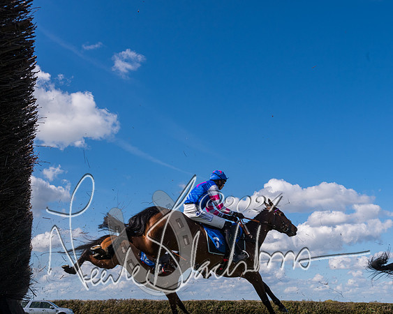 Race 2 - Maiden Race  (53 of 102)