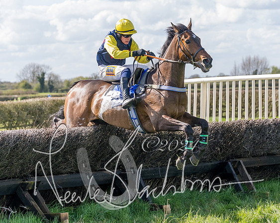 Golan Fortune - Toby McCain-Mitchell (14 of 20)