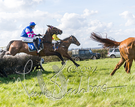 Race 2 - Maiden Race  (54 of 102)