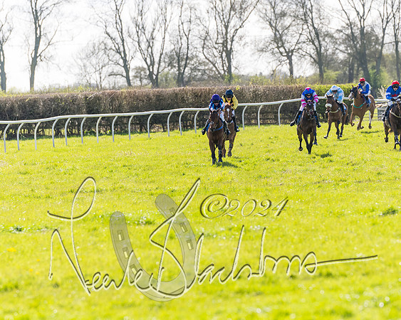Race 2 - Maiden Race  (56 of 102)