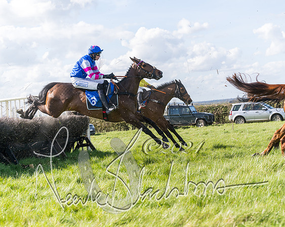 Race 2 - Maiden Race  (55 of 102)