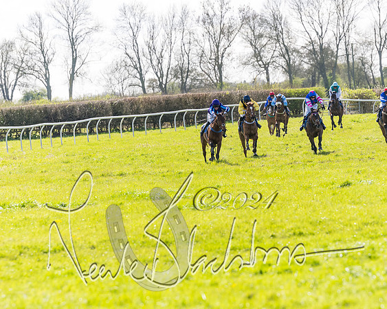 Race 2 - Maiden Race  (57 of 102)