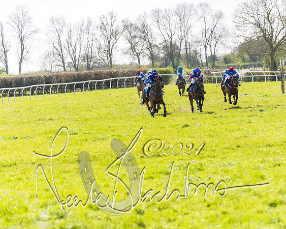 Race 2 - Maiden Race  (58 of 102)