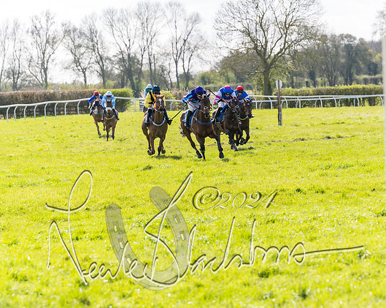 Race 2 - Maiden Race  (59 of 102)