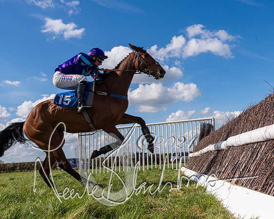 Race 2 - Maiden Race  (62 of 102)