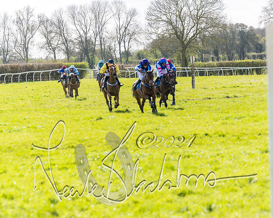 Race 2 - Maiden Race  (60 of 102)