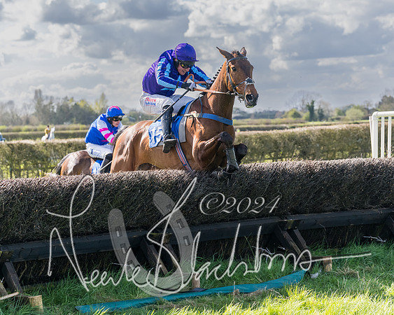Race 2 - Maiden Race  (65 of 102)