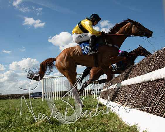 Race 2 - Maiden Race  (68 of 102)