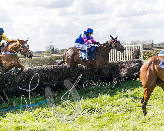 Race 2 - Maiden Race  (73 of 102)