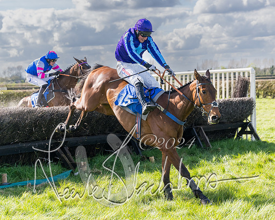 Race 2 - Maiden Race  (72 of 102)