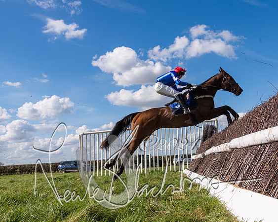 Race 2 - Maiden Race  (76 of 102)