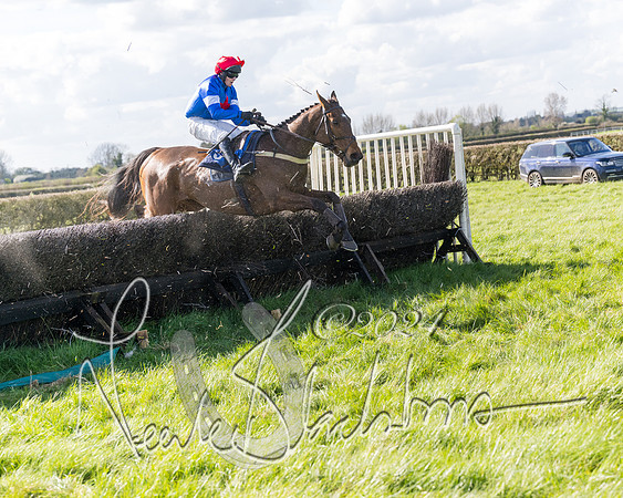 Race 2 - Maiden Race  (77 of 102)
