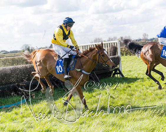 Race 2 - Maiden Race  (75 of 102)