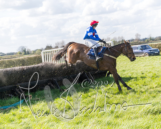 Race 2 - Maiden Race  (78 of 102)