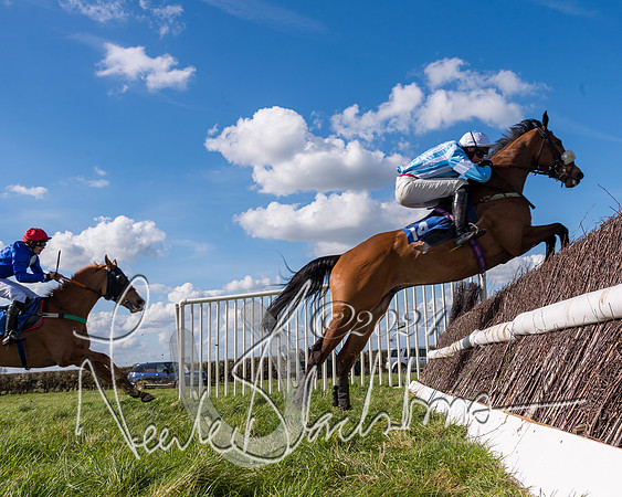 Race 2 - Maiden Race  (79 of 102)