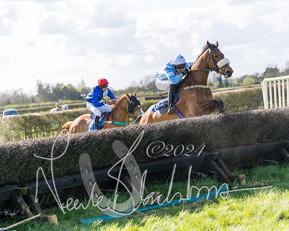 Race 2 - Maiden Race  (80 of 102)
