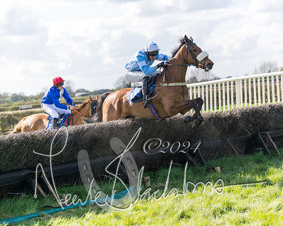 Race 2 - Maiden Race  (82 of 102)