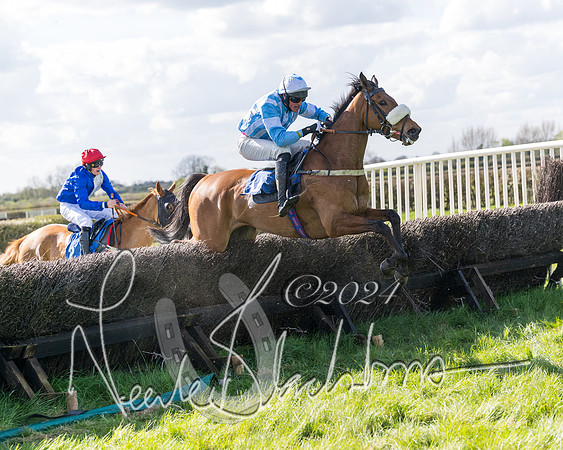 Race 2 - Maiden Race  (83 of 102)