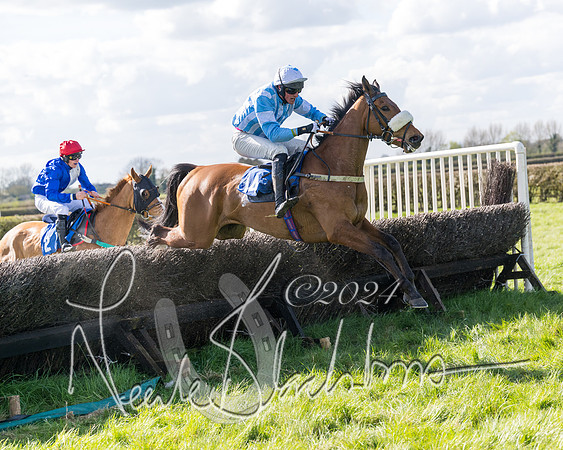 Race 2 - Maiden Race  (84 of 102)