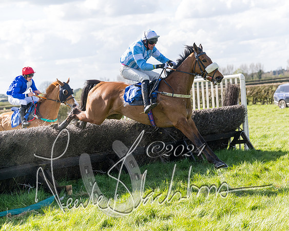 Race 2 - Maiden Race  (85 of 102)