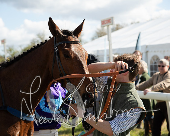 Race 2 - Maiden Race  (89 of 102)