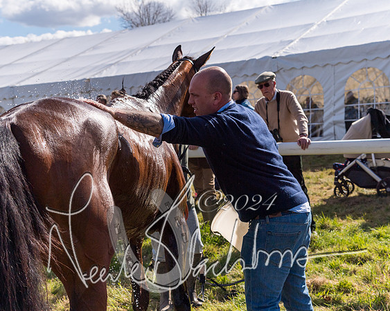 Race 2 - Maiden Race  (96 of 102)