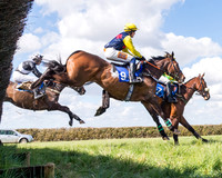 Race 1 - Veteran Horse
