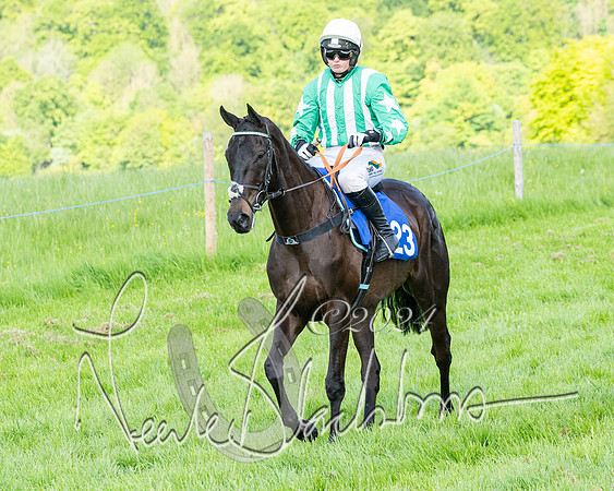 Race 5  - Maiden race 2m5F Div-2 (118 of 205)
