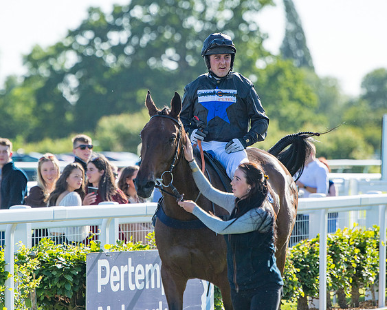 Race 1 - PPSA Open Hunter chase (65 of 78)