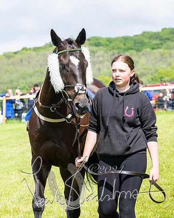 Race 2 - Novice Riders (17 of 369)