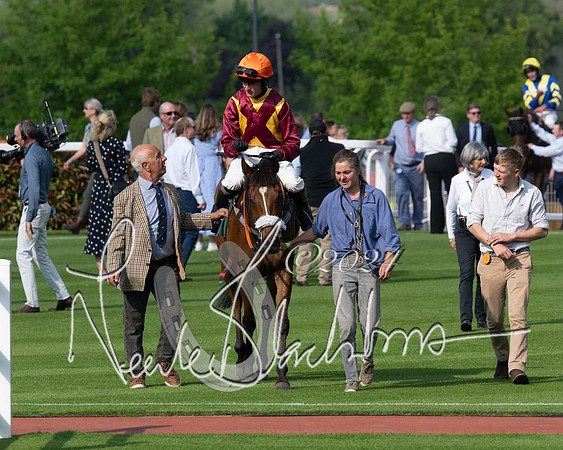 Race 1 - The Bottle Green Open Hunters steeplechase 2m62y (68 of 93)