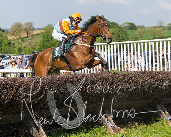 Race 4 - PPORA Novice Riders Final  (194 of 362)