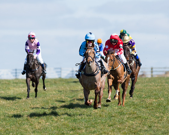 Oakley Ponies (16 of 96).jpg