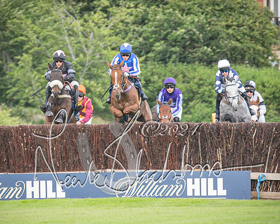 Race 1 - Pointing Pointers Restricted Final (32 of 79)