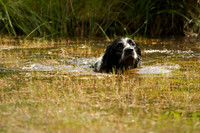 WCGB-04AUG-2013 Water Training Day  8
