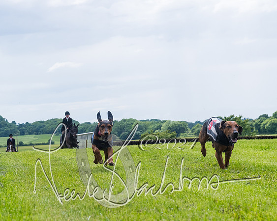 Race 7 - Hound Race etc (92 of 108)