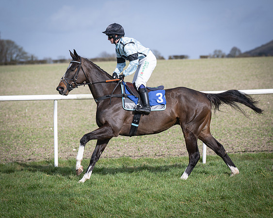 Race 3 - The Maiden Conditions (68 of 214)