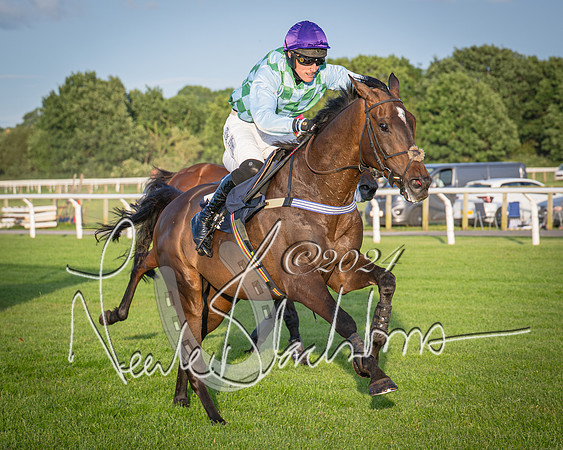 Race 5 - tipsterreviews.co.uk handicap (57 of 107)