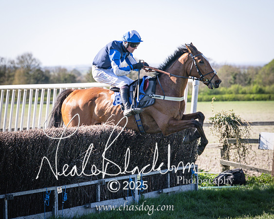 Race 6 - Veteran horse (87 of 109)