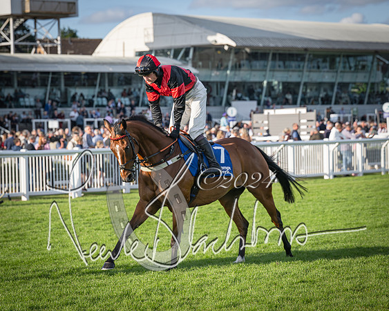 Race 4 - Peretemps Stratford Foxhunters (30 of 168)