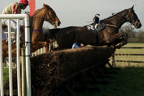 Race 2 Open Maiden Div 1 -  62