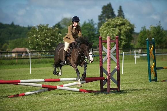 SOHS PC Summer Show at BCA 17th June 2012