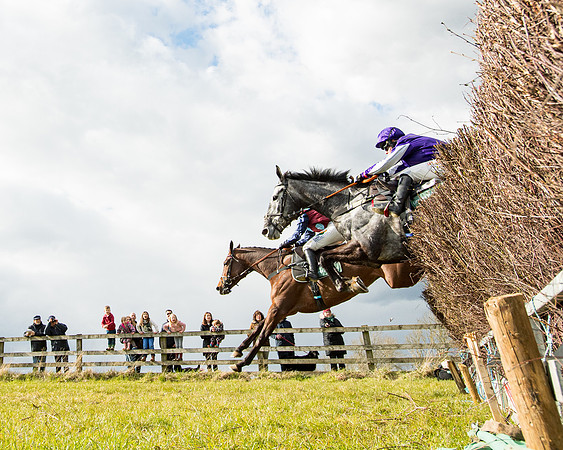 Race 5 - Restricted  (35 of 118)