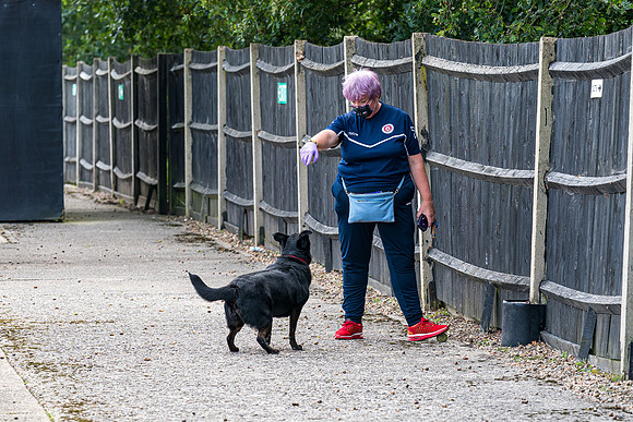 Rams 1 Poole Town 2  (40 of 335)