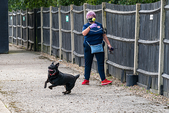 Rams 1 Poole Town 2  (42 of 335)