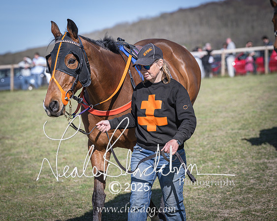 Race 6 - Veteran horse (16 of 109)
