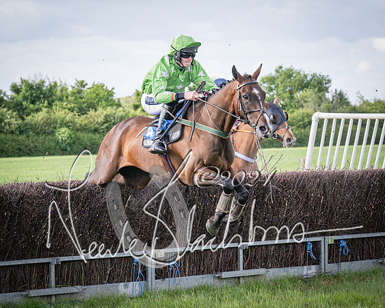 Race 6 - Thorn Plant Hire Maiden Race (71 of 129)