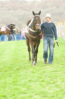 Race 4 - Nov-vets 10