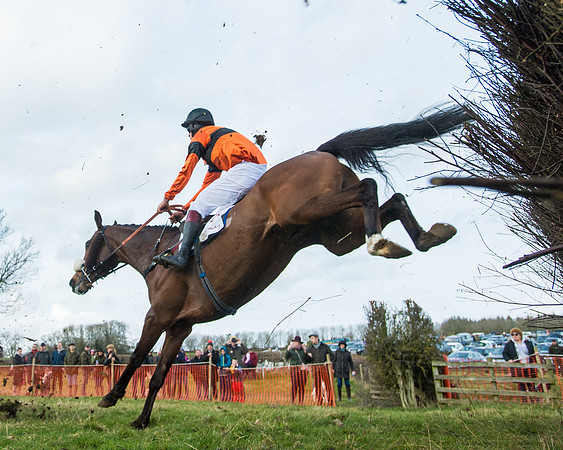 Race 5 - PPORA Conditions 2 - 8 and over  (59 of 156)