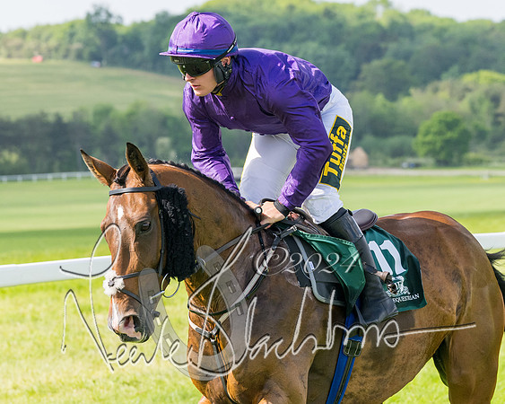Race 4 - PPORA Novice Riders Final  (140 of 362)